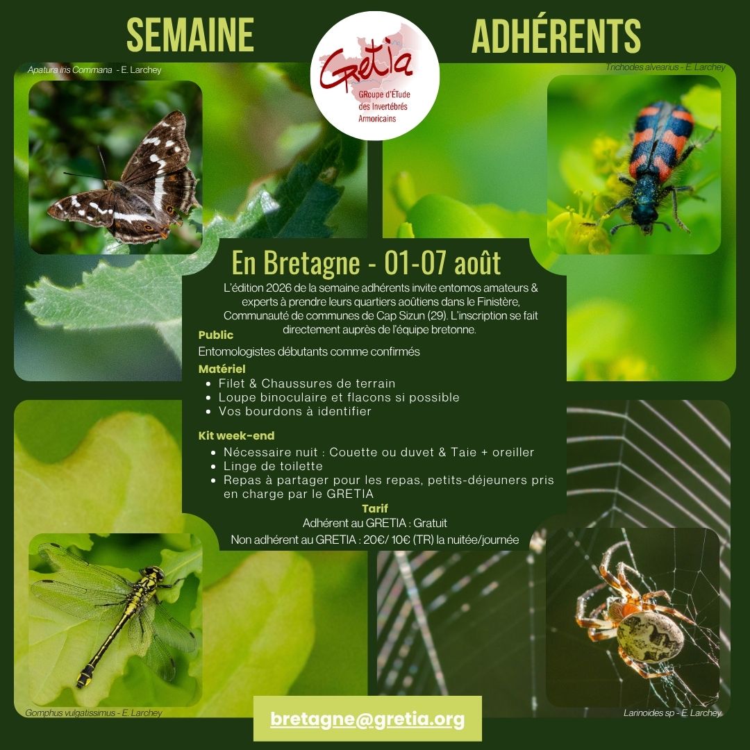 2026 Semaine BZH
